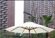 2024年新澳门免费资料