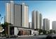 2024年新澳门免费资料