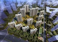 2024年新澳门免费资料