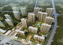 2024年新澳门免费资料