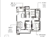2024年新澳门免费资料