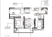 2024年新澳门免费资料