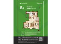 2024年新澳门免费资料