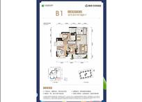 2024年新澳门免费资料