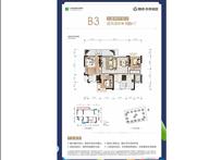 2024年新澳门免费资料