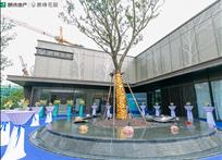 2024年新澳门免费资料