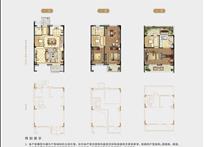 2024年新澳门免费资料