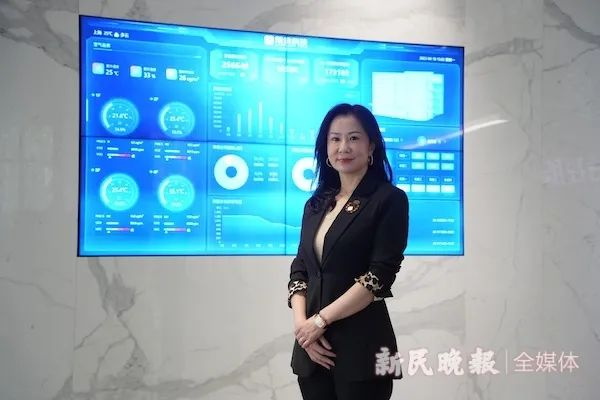 2024年新澳门免费资料