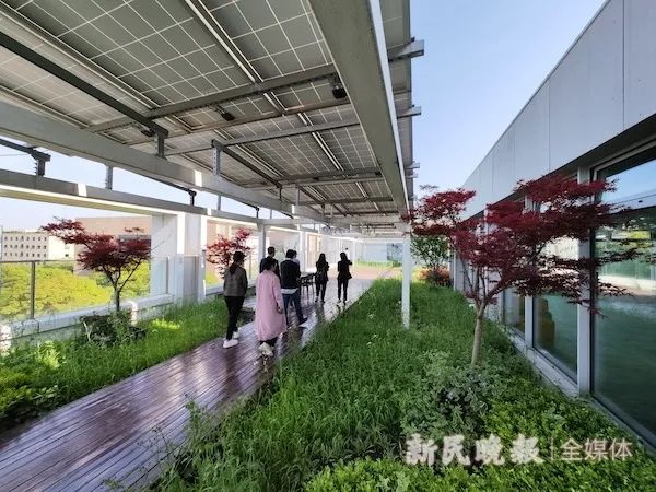 2024年新澳门免费资料