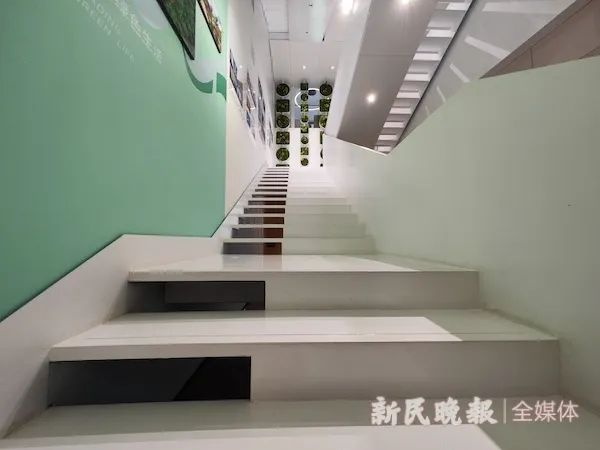 2024年新澳门免费资料