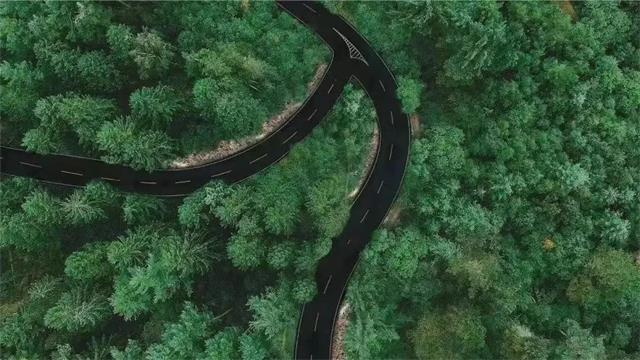 2024年新澳门免费资料